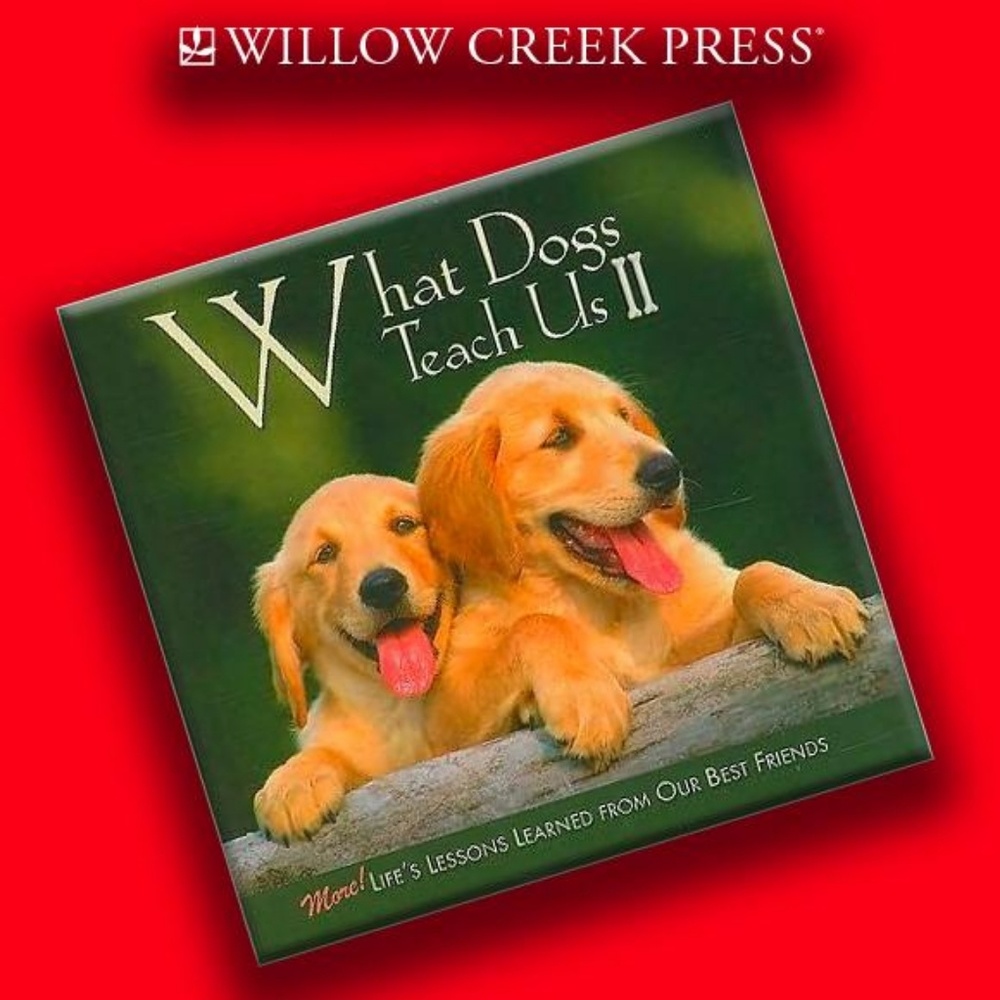 What Dogs Teach Us II Coffee Table Book NEW